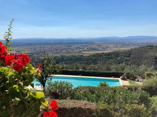 Agriturismo Cima Alla Serra Buti Экстерьер фото