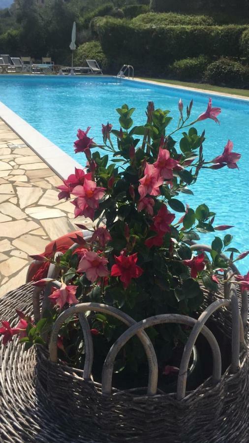 Agriturismo Cima Alla Serra Buti Экстерьер фото